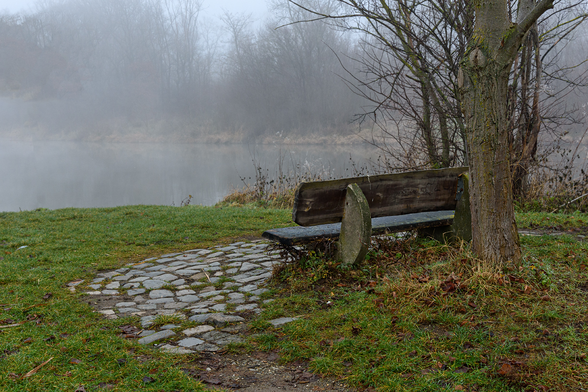 OF2_71456.jpg