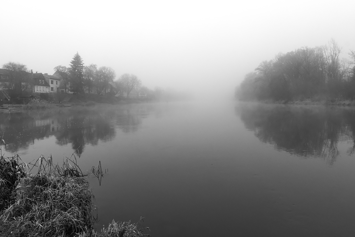 OF2_71461sw.jpg