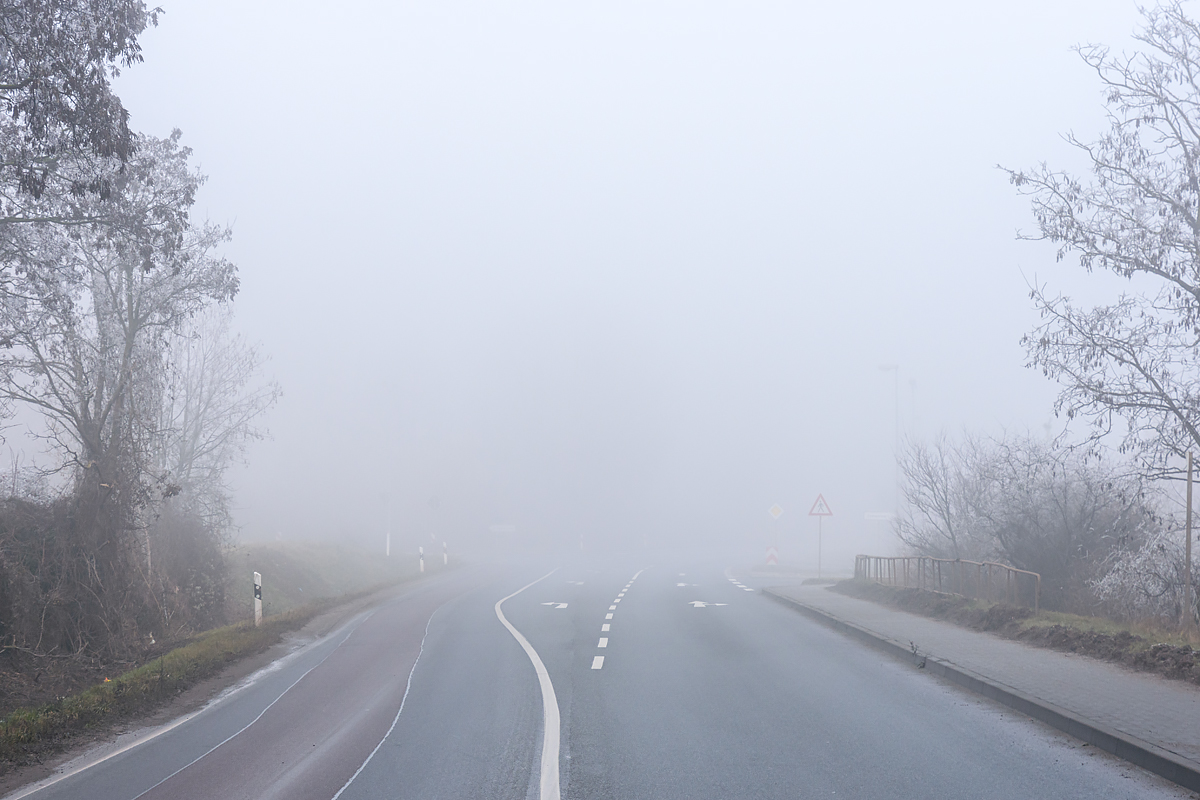 OF2_72025.jpg