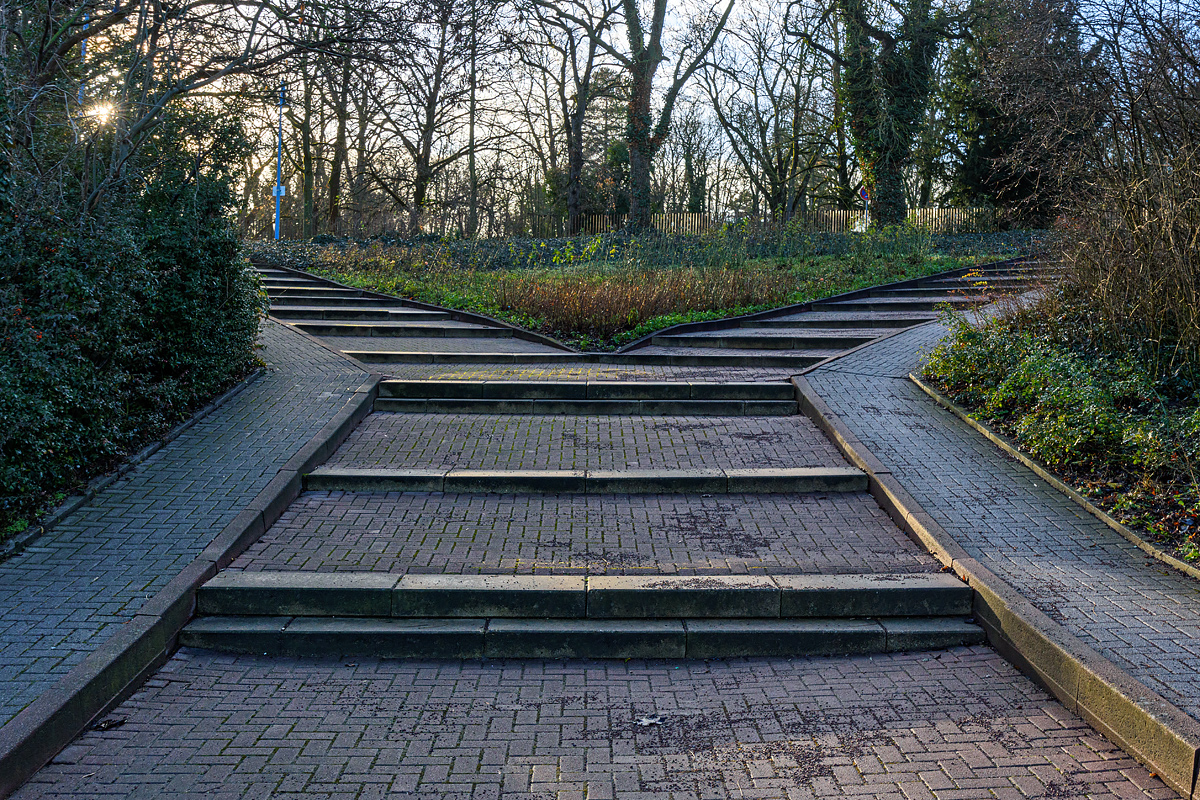OF2_72174.jpg