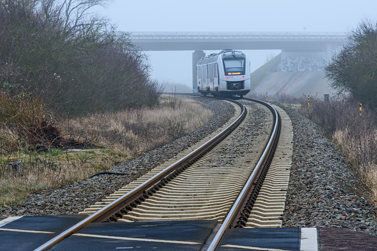 OF2_72545.jpg