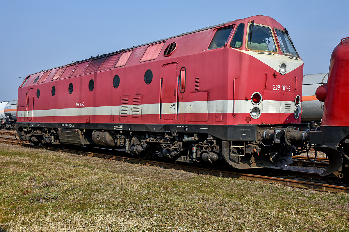 OF2_73008.jpg