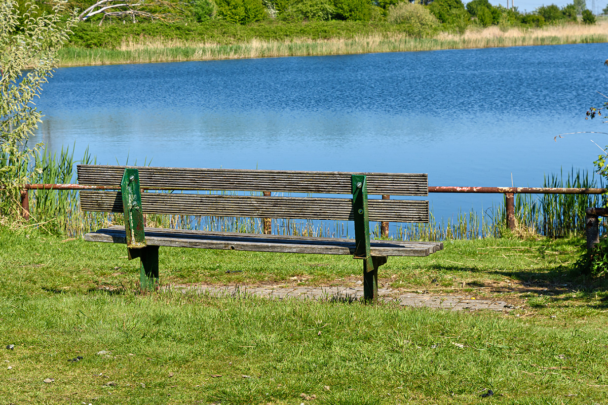 OF2_73826.jpg