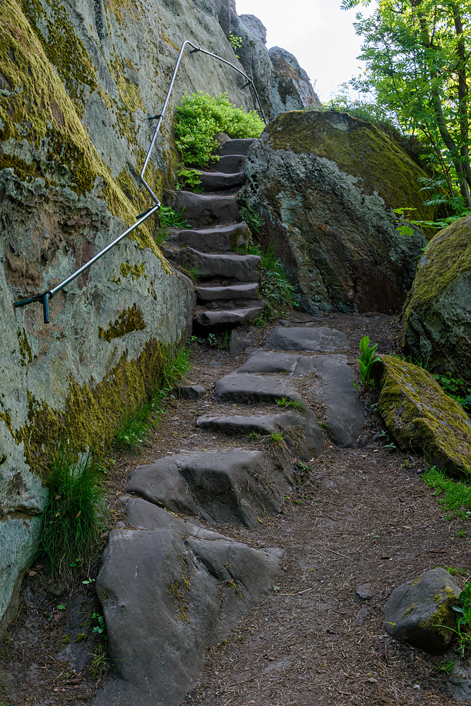 OF2_74004.jpg