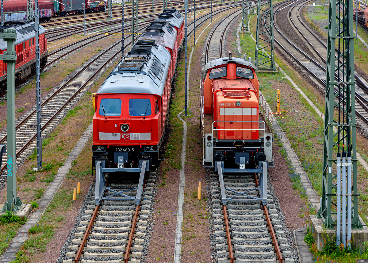 OF2_74506.jpg