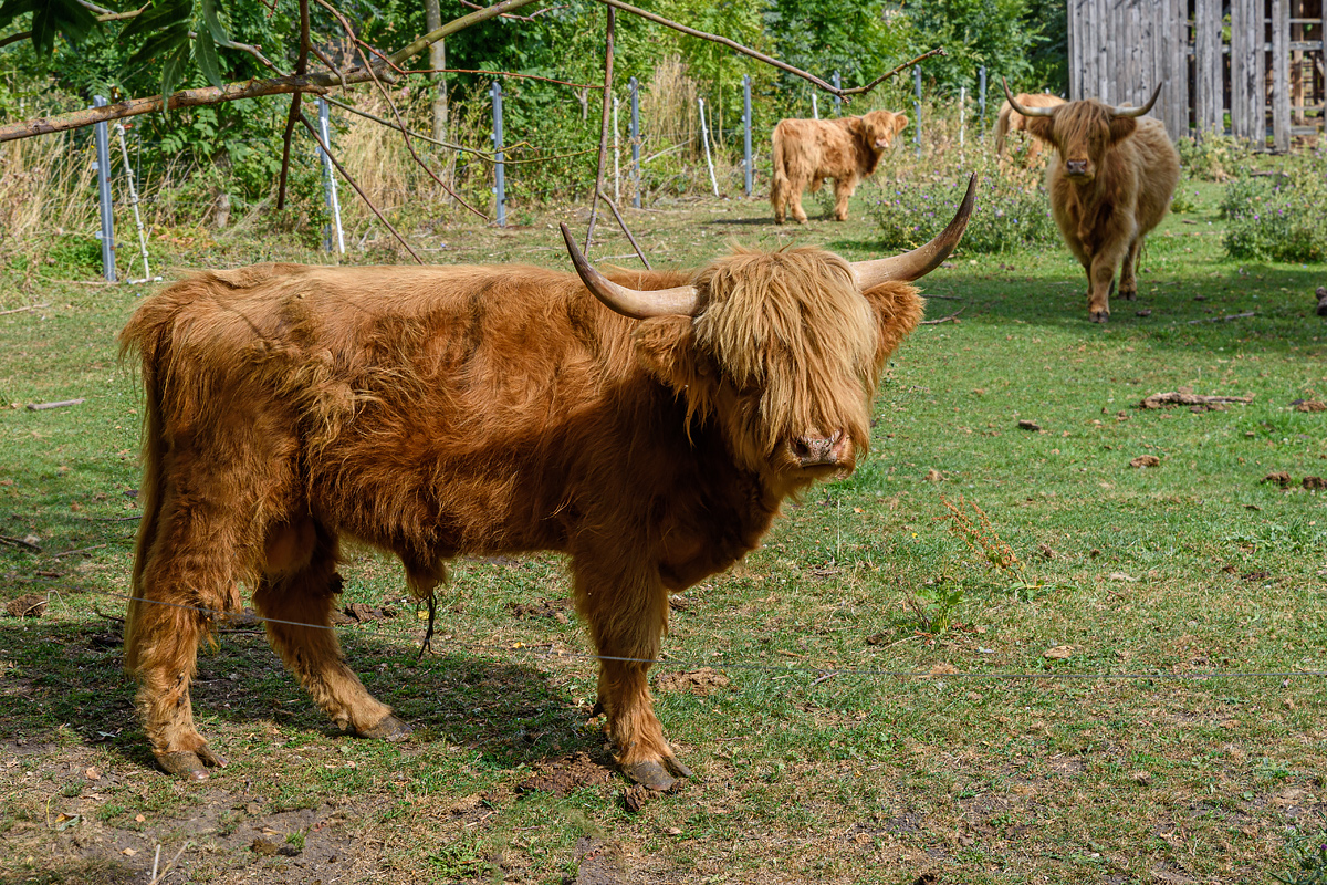OF2_75103.jpg