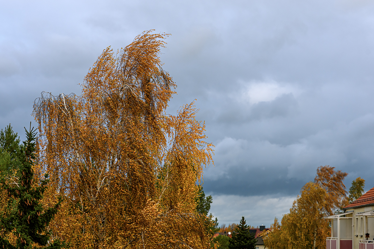 OF2_75972.jpg
