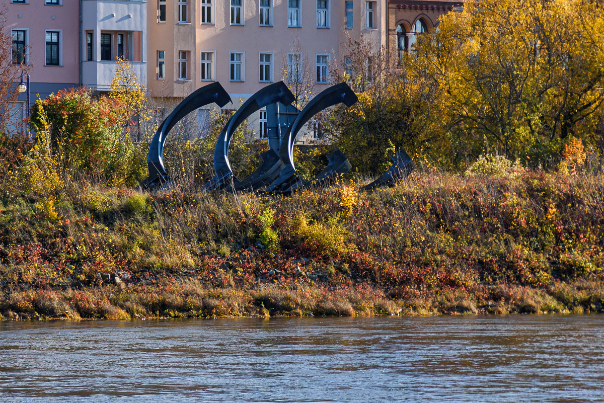 OF2_75990.jpg
