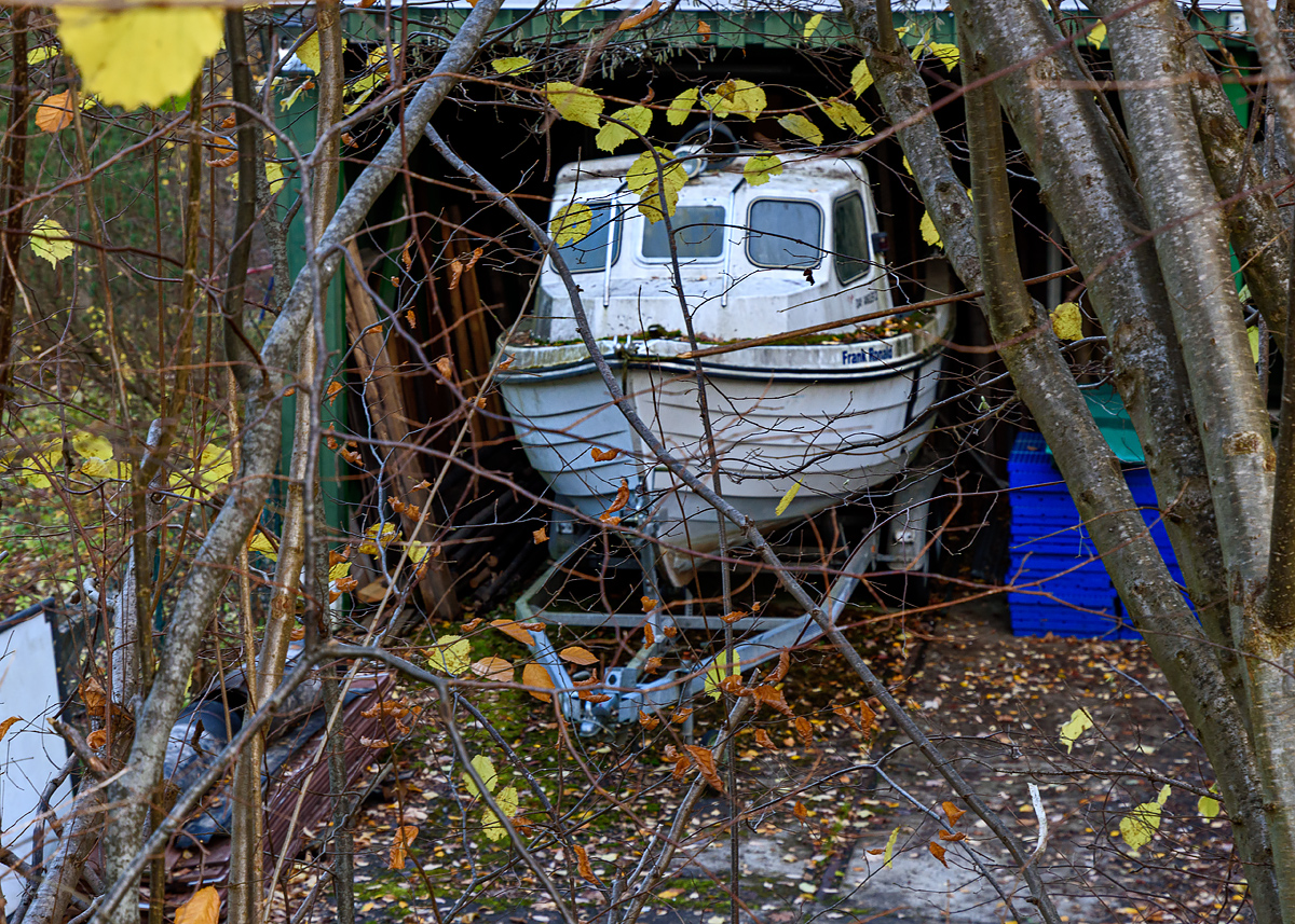 OF2_76339.jpg