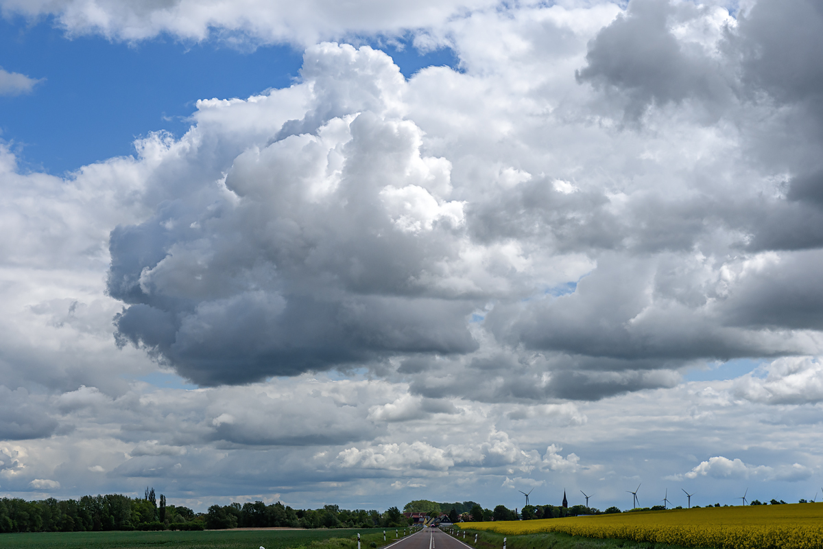 OF2_77337.jpg
