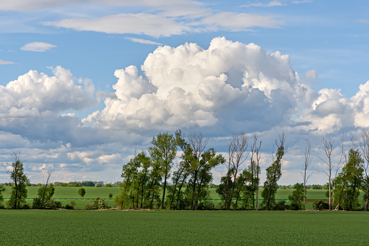 OF2_77370.jpg