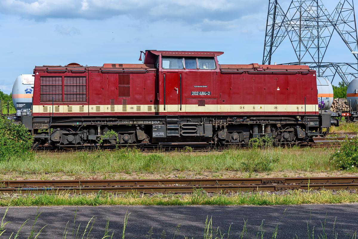 OF2_77443.jpg