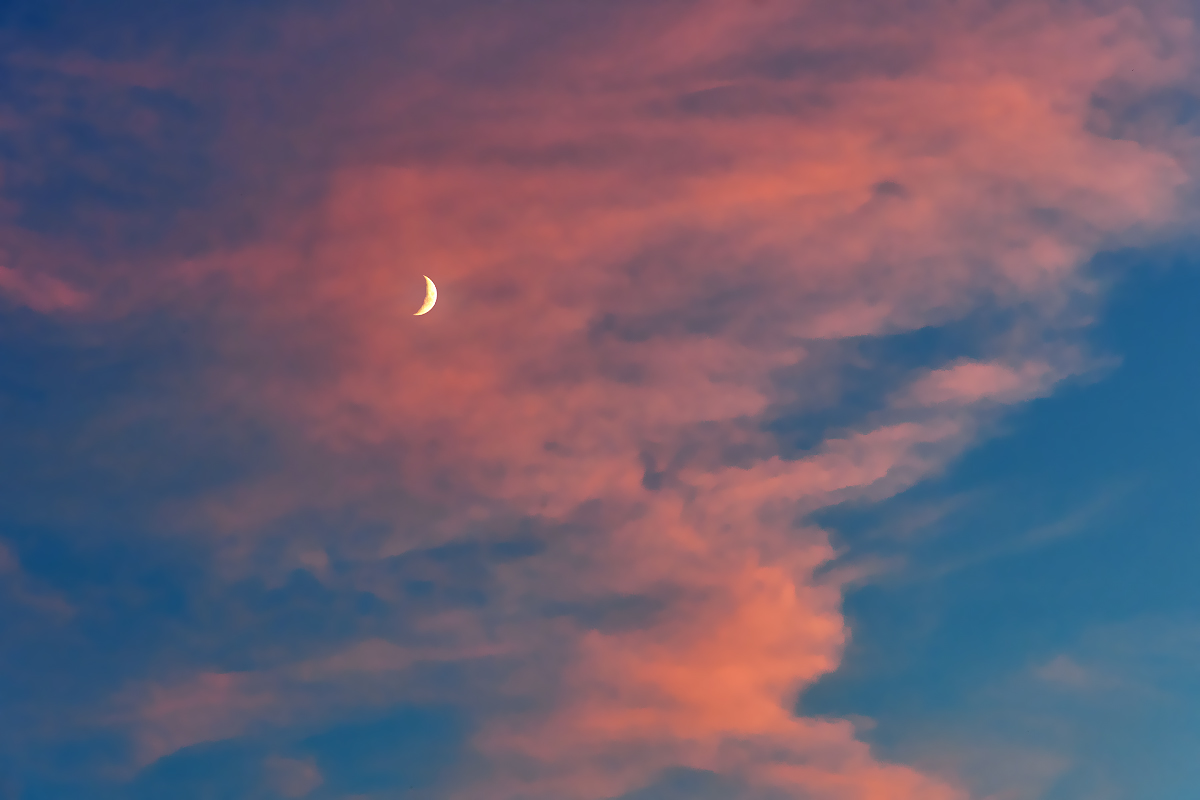 OF2_77821.jpg