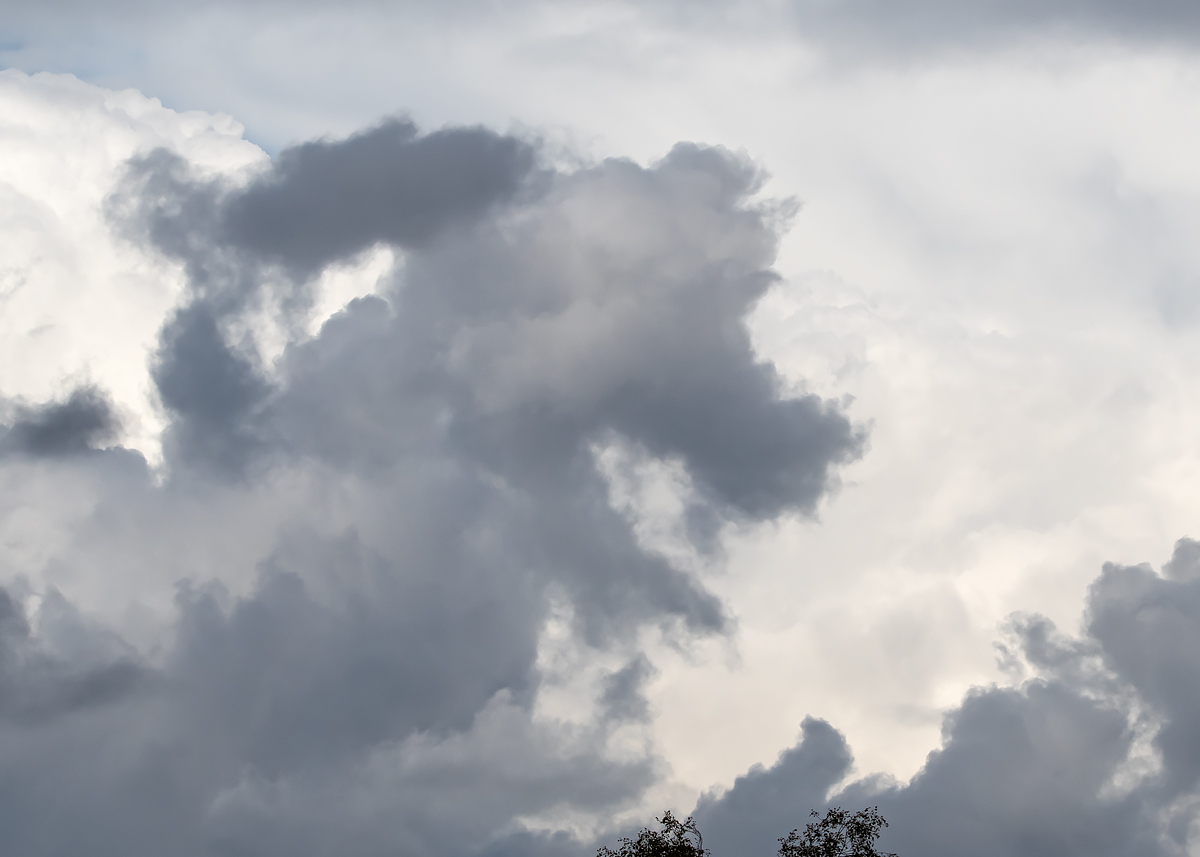 OF5_05116.jpg