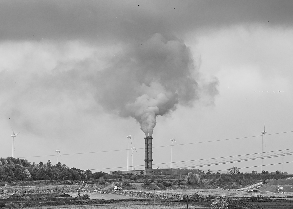 OF5_05310sw.jpg
