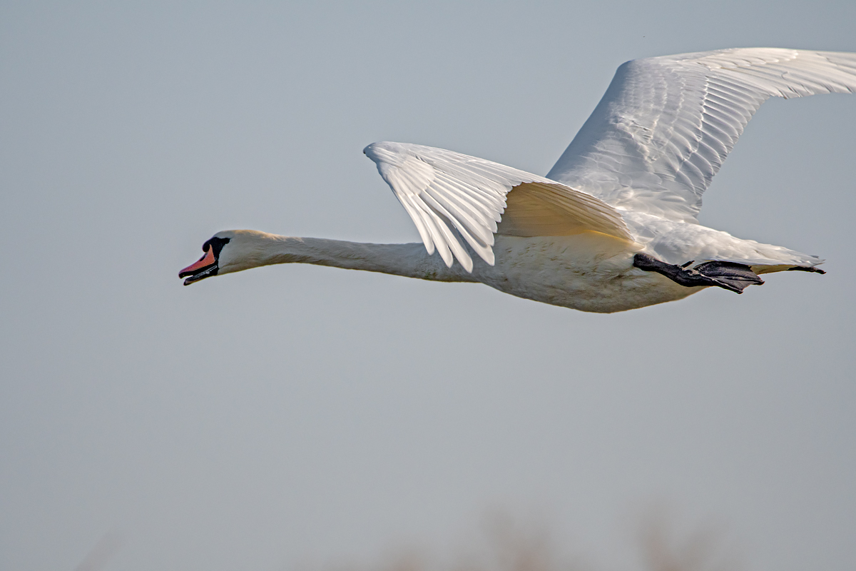 OF5_05909a.jpg