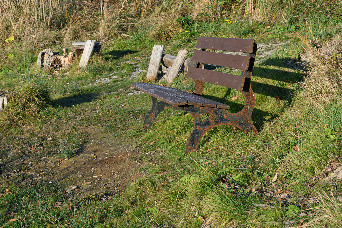 OF5_06205.jpg