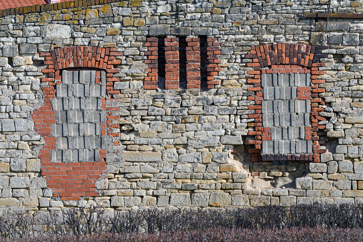 OF5_08816.jpg