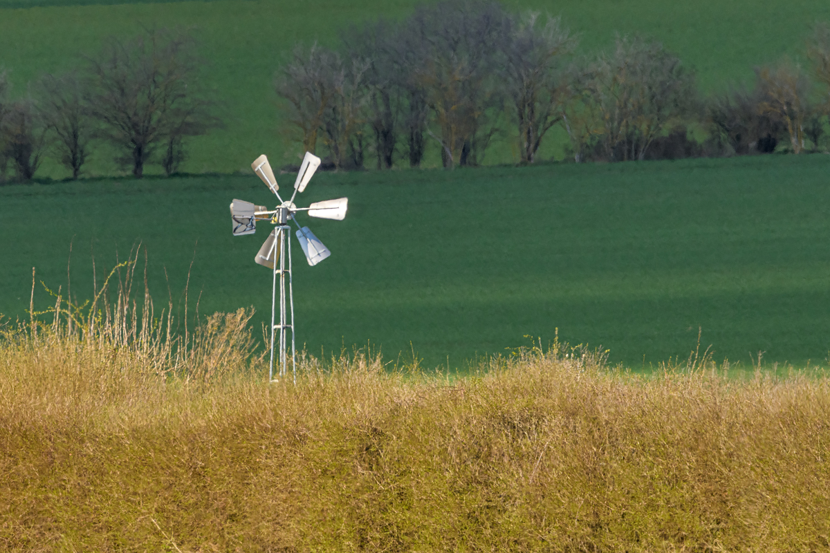 OF5_09513.jpg