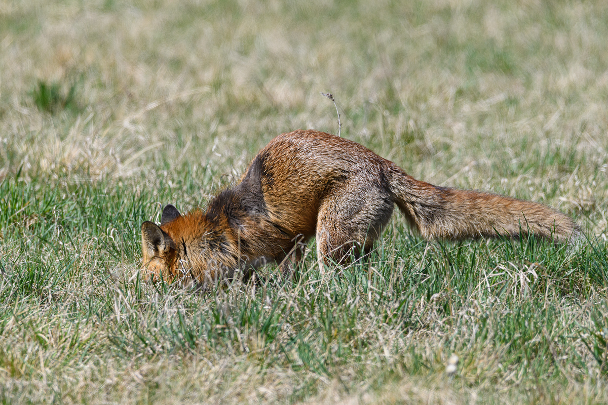 OF5_09531.jpg