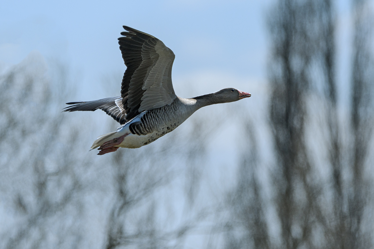 OF5_09567.jpg