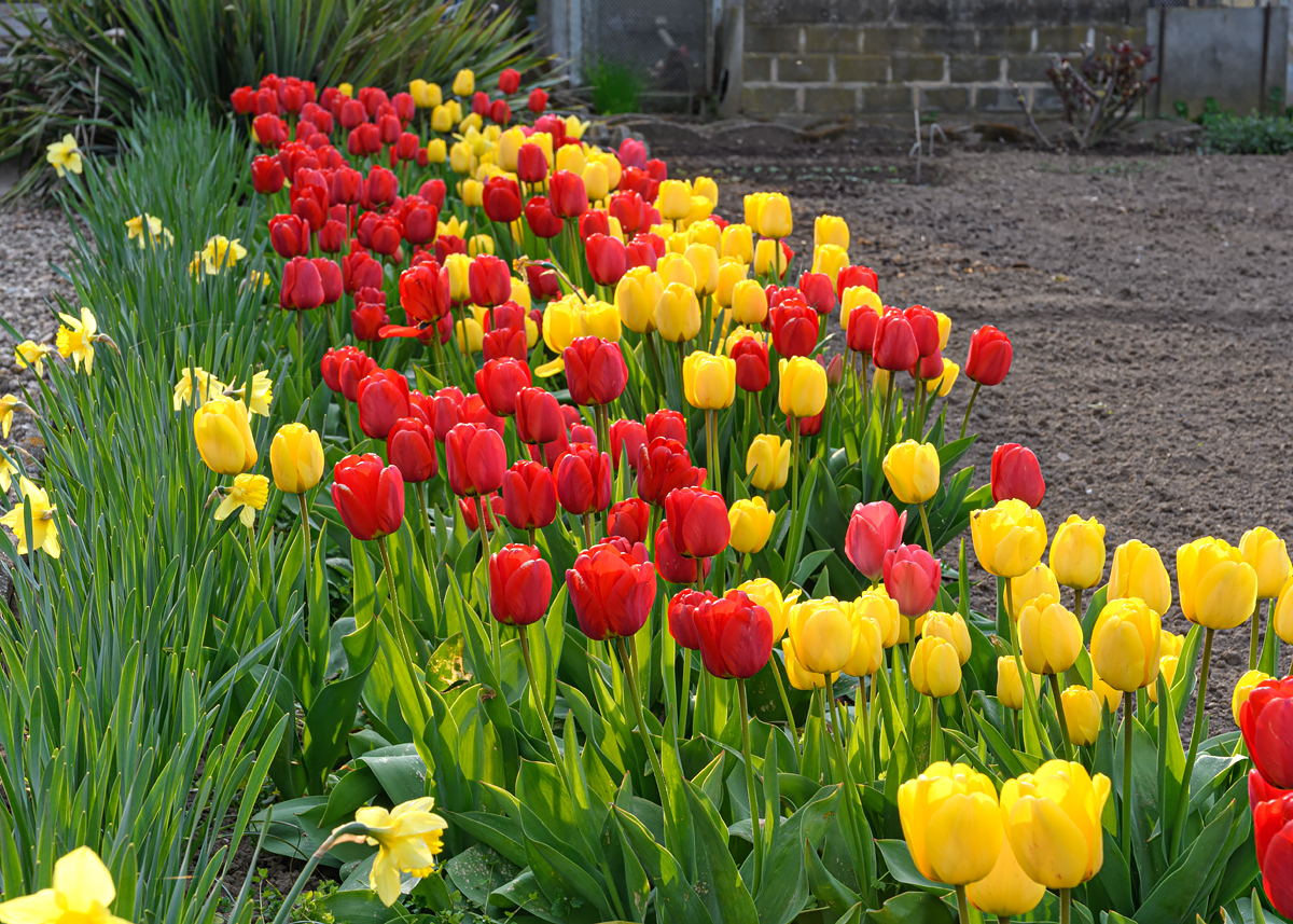 OF5_10533.jpg