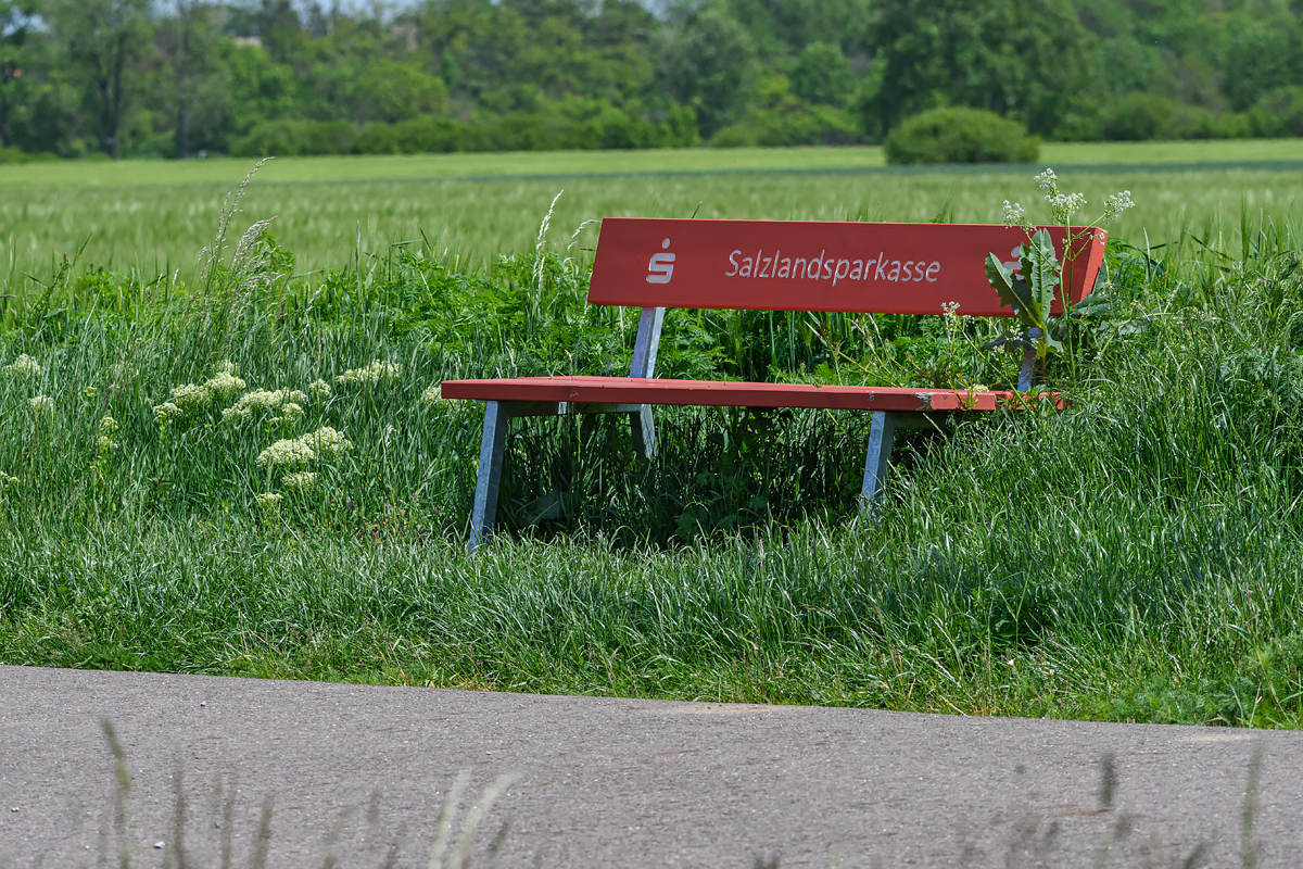 OF5_11600.jpg