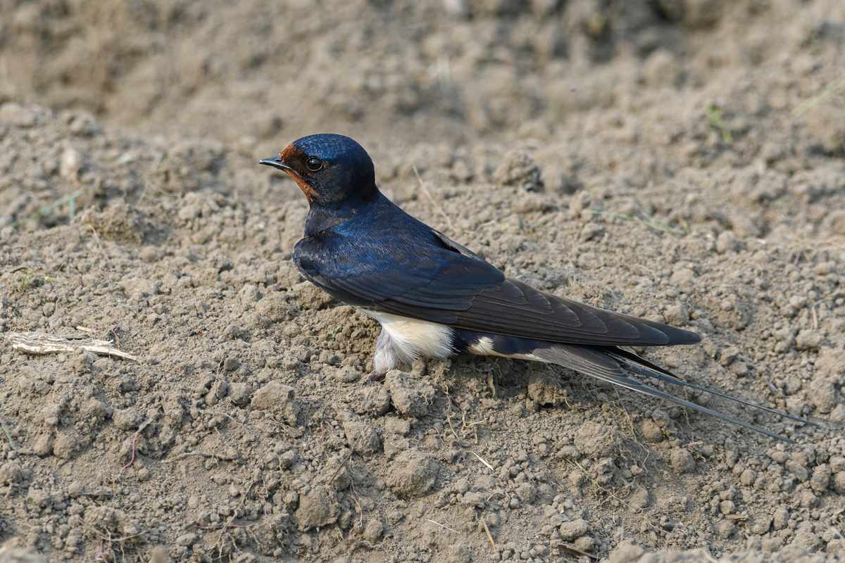 OF5_12587.jpg