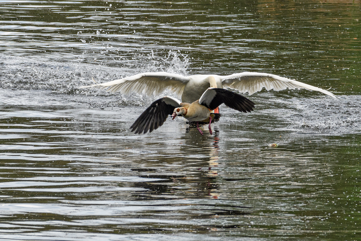 OF5_12669.jpg