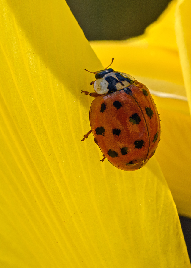 OF5_12870.jpg