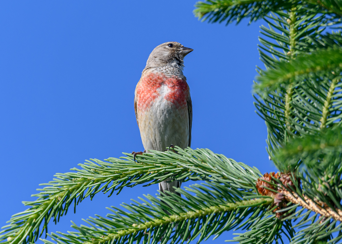 OF5_13063.jpg