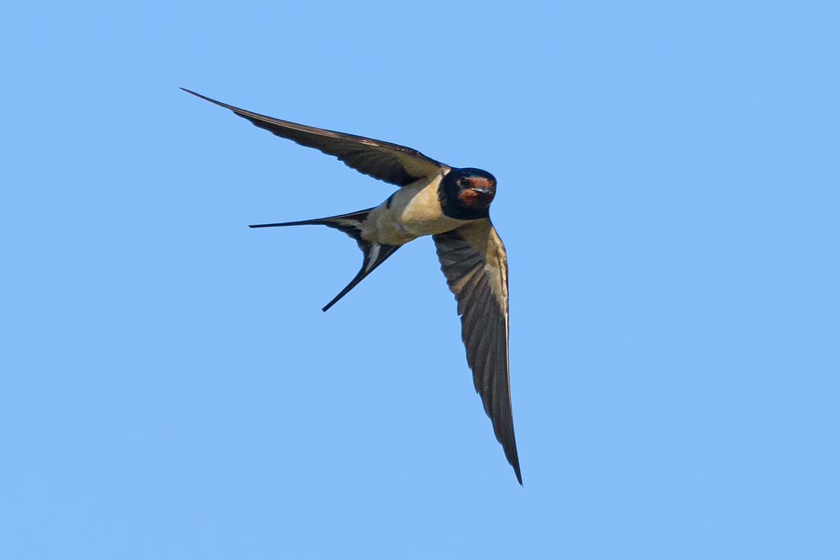 OF5_13079.jpg