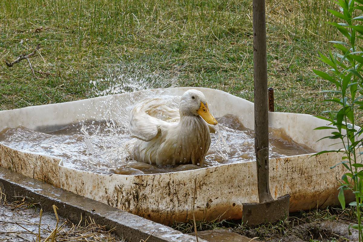 OF5_13172.jpg