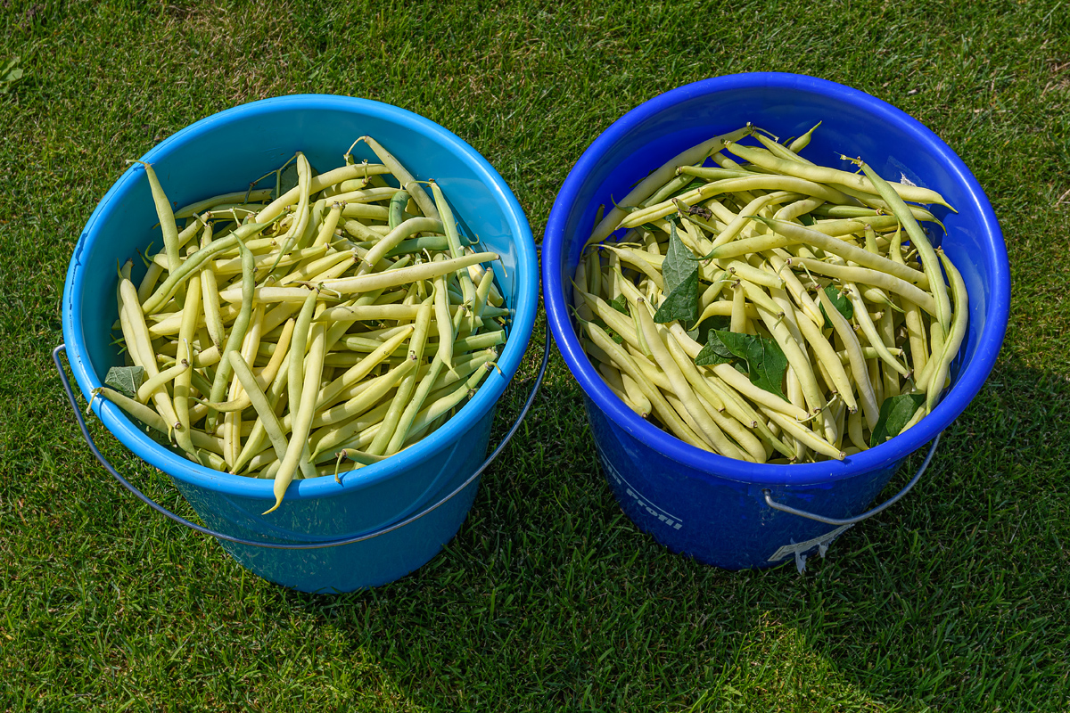 OF5_14034.jpg