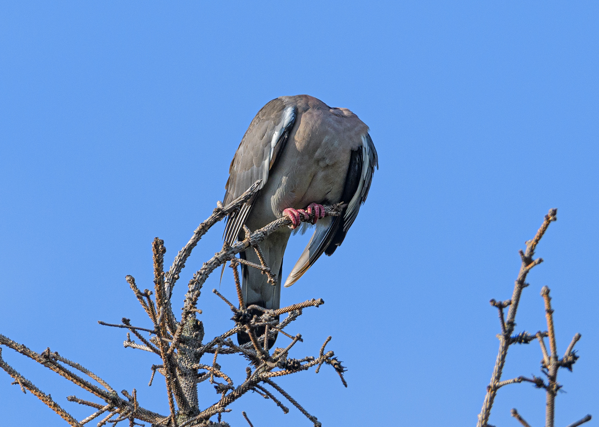 OF5_14152.jpg