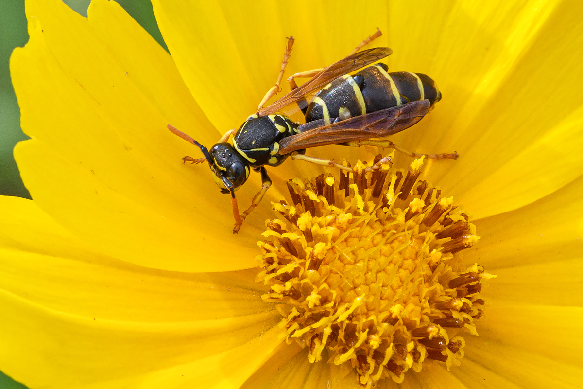 OF5_14564.jpg