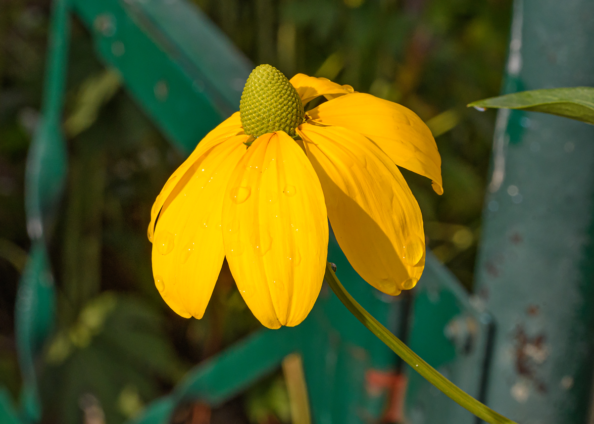 OF5_14589.jpg