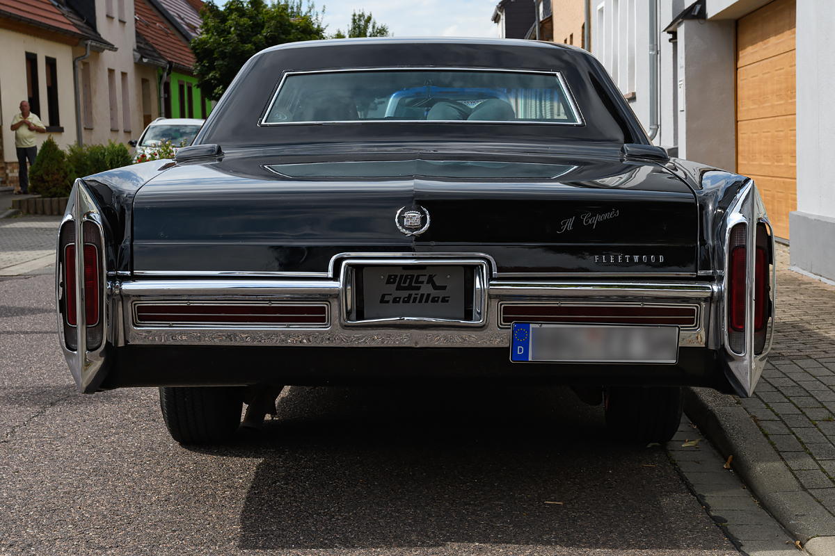 OF5_15046.jpg