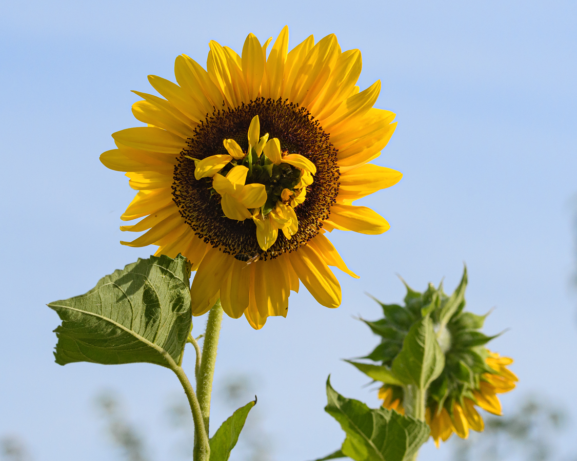 OF5_15063.jpg