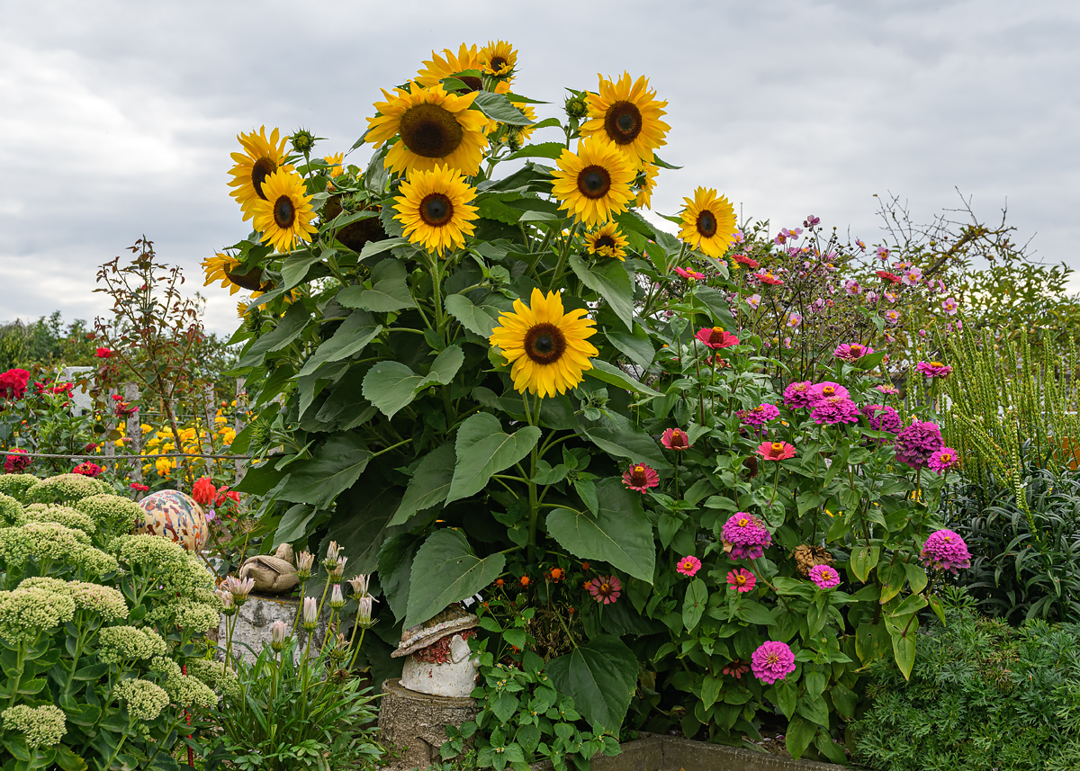 OF5_15116.jpg