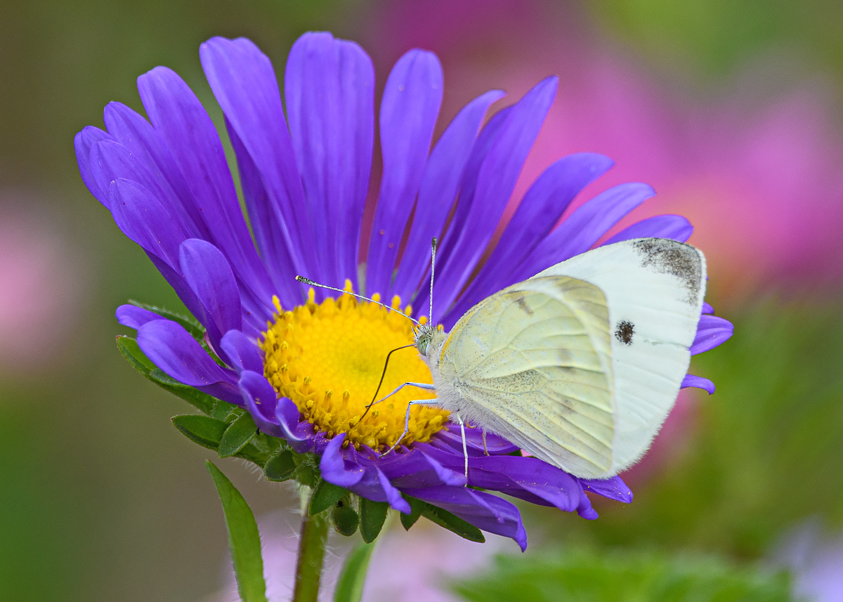 OF5_15159.jpg