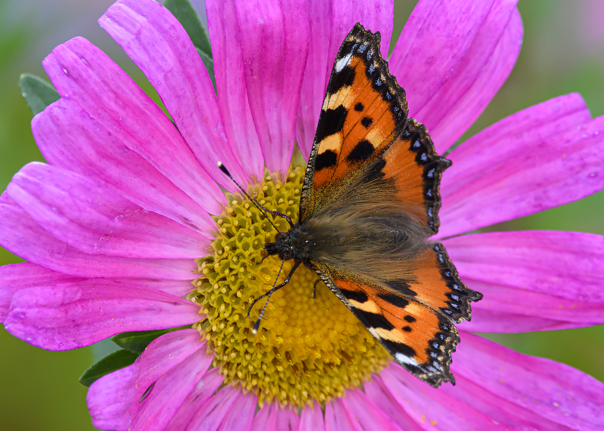 OF5_15164.jpg