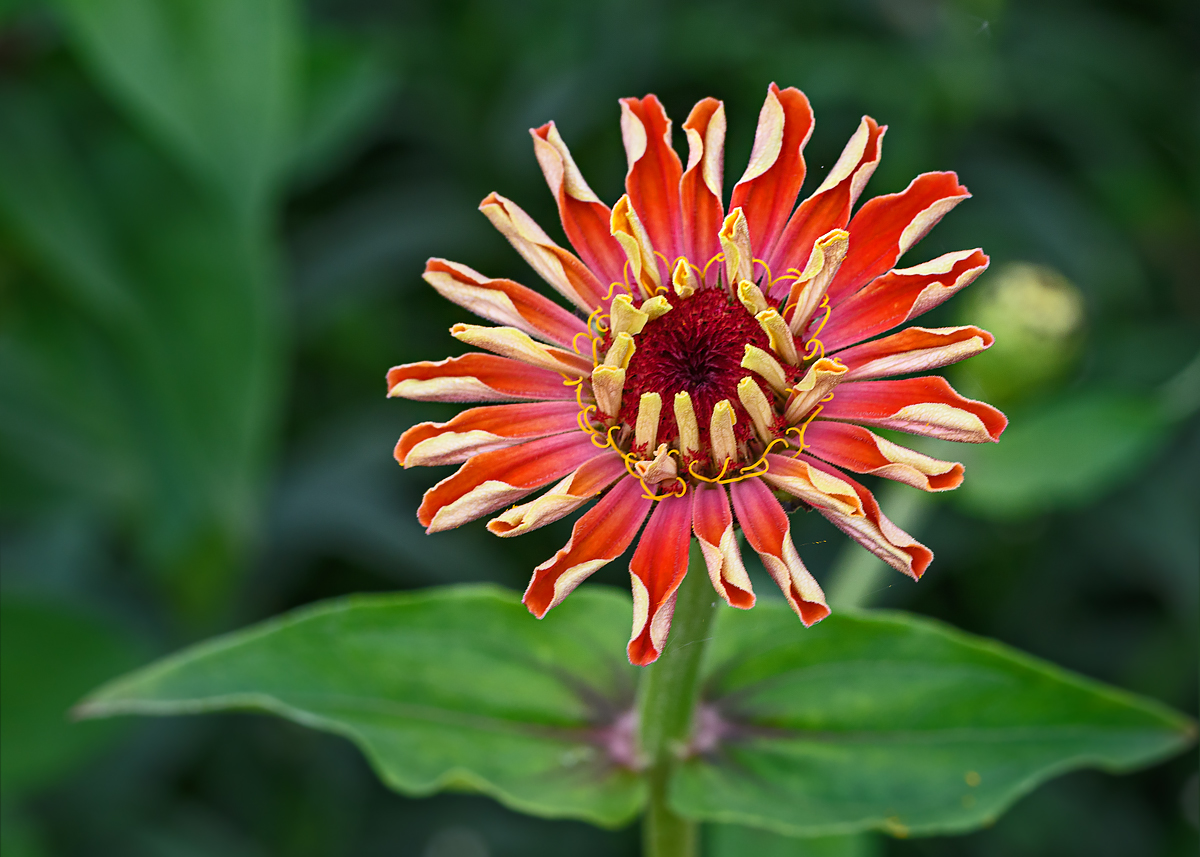 OF5_15217.jpg