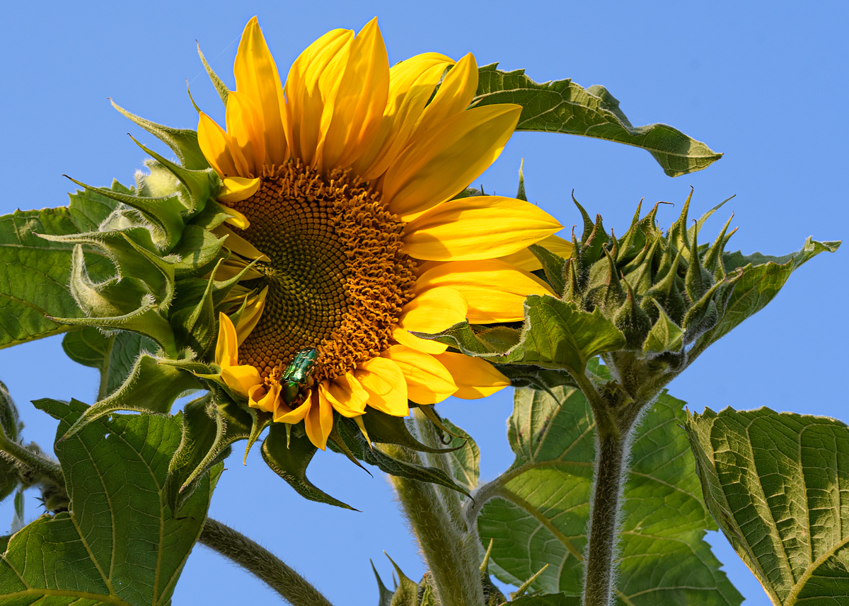 OF5_15277.jpg