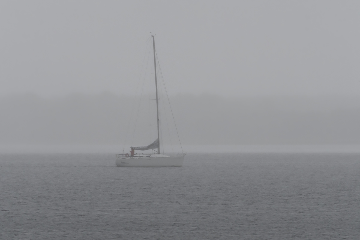 OF5_15309.jpg
