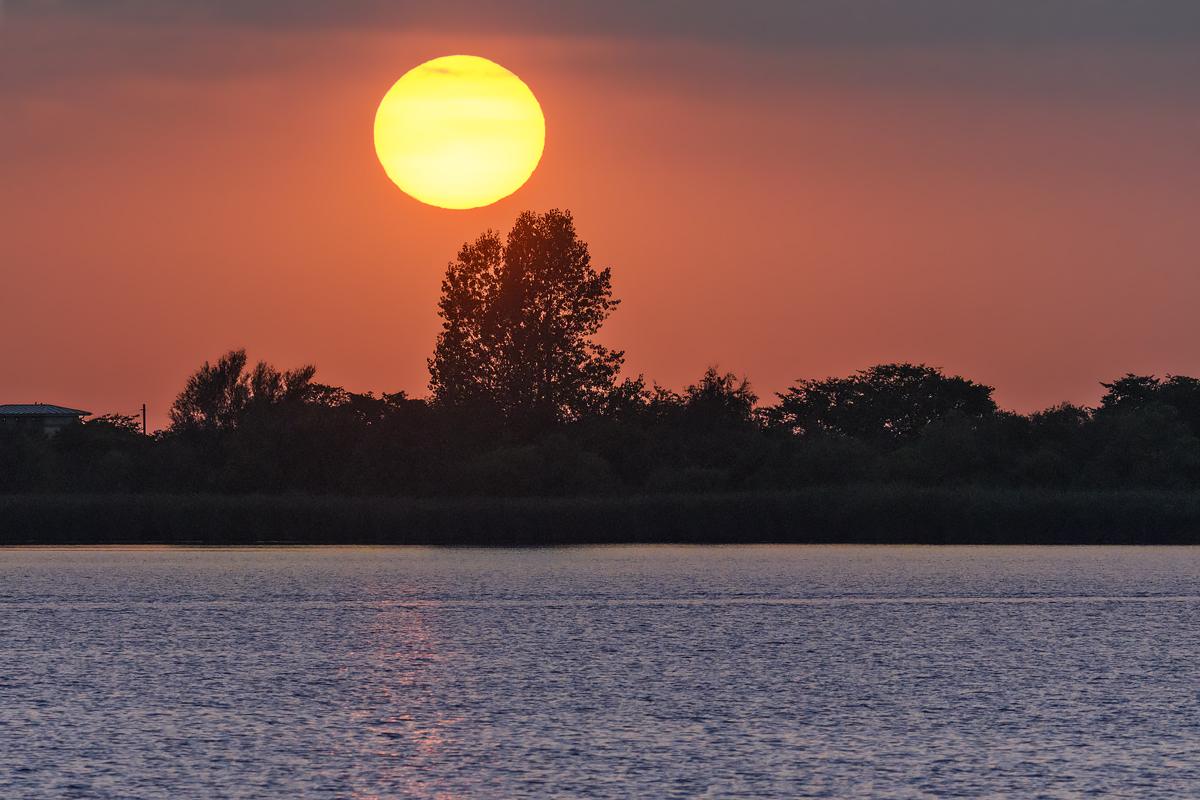 OF5_15732.jpg