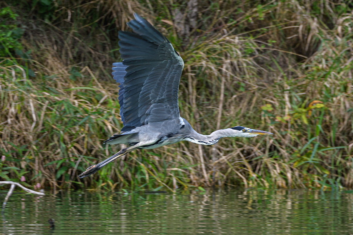 OF5_16120.jpg