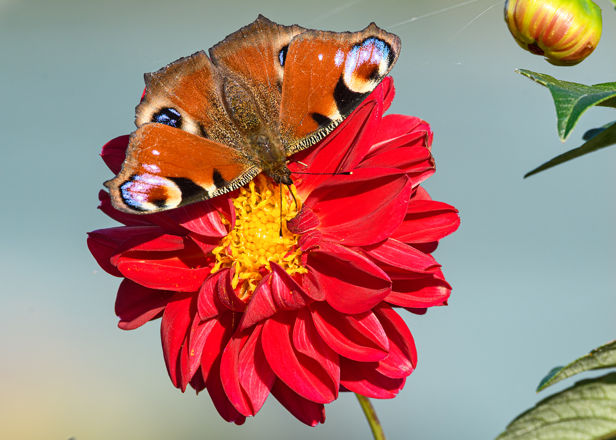 OF5_16310.jpg