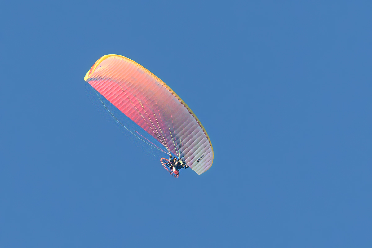OF5_16352.jpg