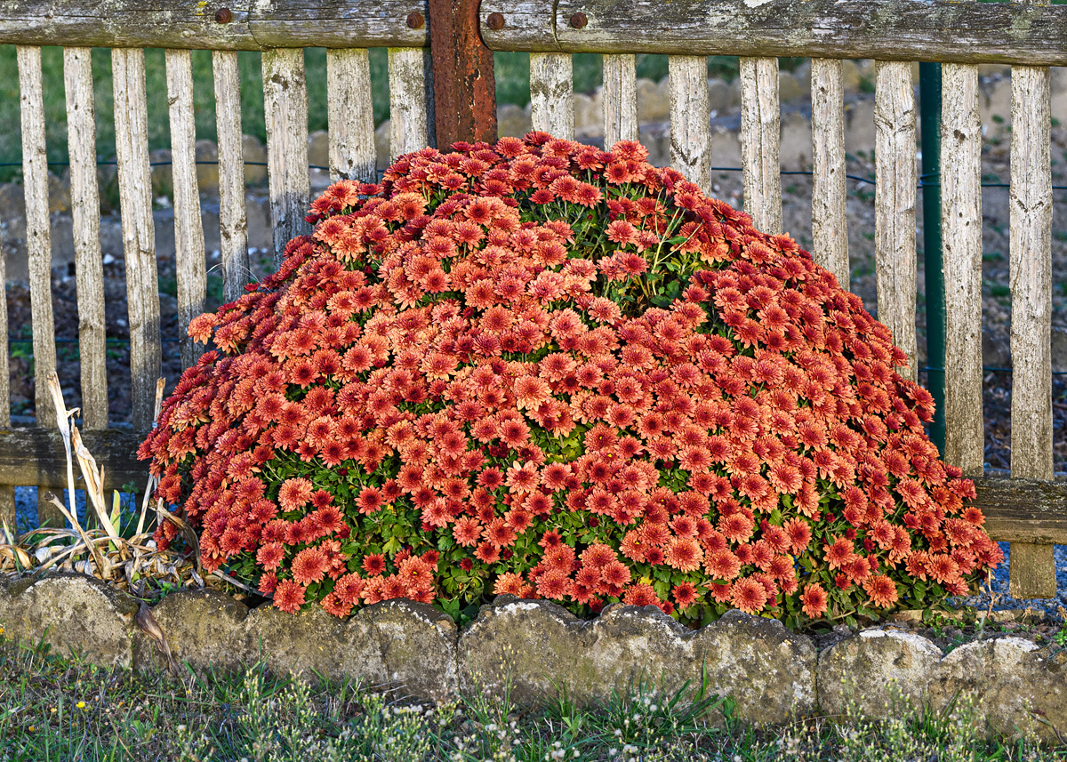 OF5_16679.jpg